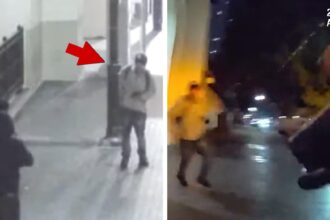 Il poliziotto spara fatalmente un ragazzo di 16 anni alla stazione ferroviaria di San Diego, spettacoli video