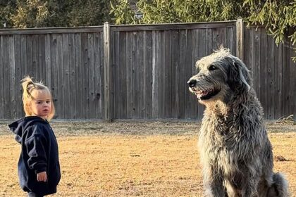 Kylie Kelce e Jason Kelce incinte piangono la morte di Dog Baloo