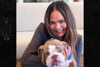 Chrissy Teigen e John Legend Rescue Dog mesi dopo la morte del loro cane