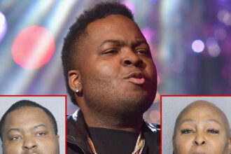 Sean Kingston, madre ritenuta colpevole nel caso di frode di filo federale