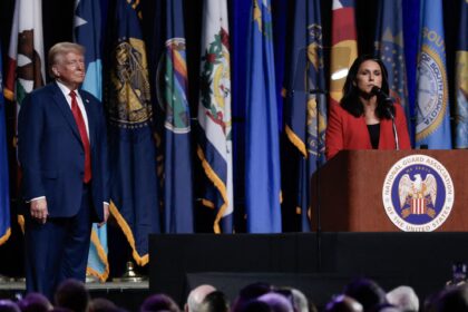 Chi è Tulsi Gabbard? 5 cose sul direttore dell'intelligence nazionale - Hollywood Life
