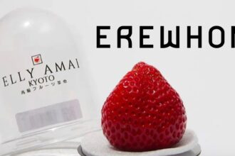 La fragola virale, bougie di Erewhon completamente esaurita, influencer frustranti