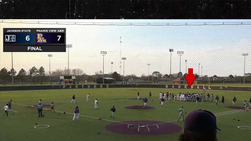 Brawl si esce alla partita di baseball del college, 9 giocatori sospesi, le scuole multate