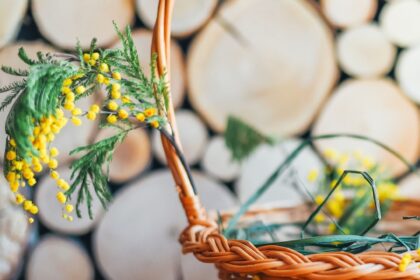 Migliori regali per cesti di Pasqua per bambini, adolescenti e adulti (non è caramelle)