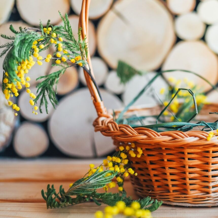 Migliori regali per cesti di Pasqua per bambini, adolescenti e adulti (non è caramelle)