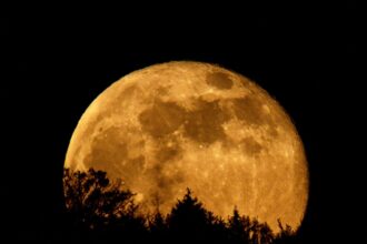 Segni zodiacali più colpiti dall'eclissi lunare totale