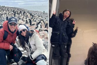 Waddle con queste stelle n pinguins per il mondo dei pinguini!