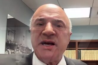 Kevin O'Leary vuole che Trump marterà la Cina con tariffe, forza l'accordo commerciale
