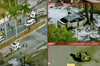 L'aereo scende in Florida, schiantando in macchina in enorme fiammata