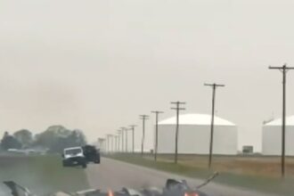 Quattro persone morte in un piccolo incidente aereo in Illinois
