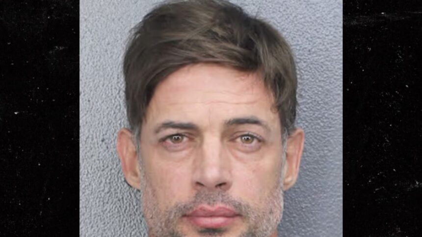 L'attore William Levy di "Cuban Brad Pitt" è stato arrestato per intossicazione disordinata in Florida