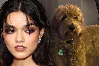 Rachel Zegler chiede ai fan su Instagram per chiedere aiuto con il cane malato