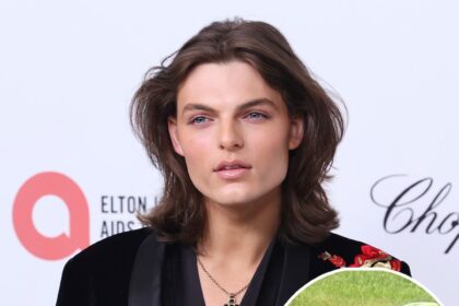 Il figlio di Elizabeth Hurley, Damian, reagisce a Billy Ray Cyrus Romance