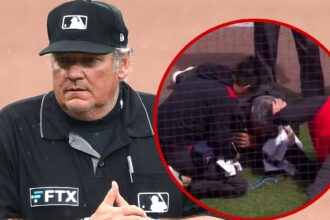 MLB Umpire Hunter Wendelstedt ha colpito la testa di linea, lascia il gioco