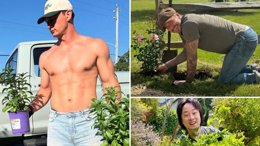 Gardening Stars for Earth Day ... Brava erba cipollina!