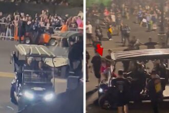 Il fan di WrestleMania investito da golf cart che trasporta Dominik Mysterio