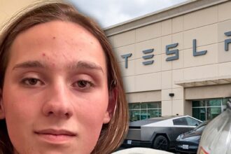 Studente dell'Università del Massachusetts accusato di concessionaria Tesla di Firebombing