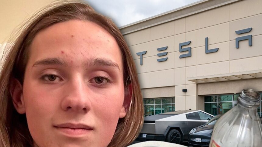 Studente dell'Università del Massachusetts accusato di concessionaria Tesla di Firebombing