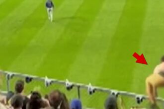 Il nuovo video PNC Park mostra Kavan Markwood che celebra prima dell'autunno