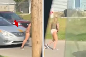 Pennsylvania Woman Poops on Car Hood in Road Rage Incident, in video