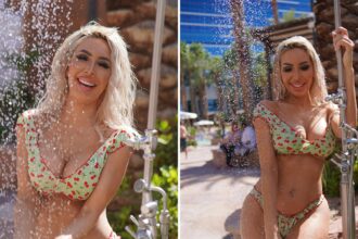 Farrah Abraham pone a bordo piscina a Las Vegas