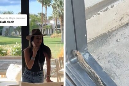 Kyle Richards chiama l'ex Mauricio Umansky per uscire dal serpente, in video