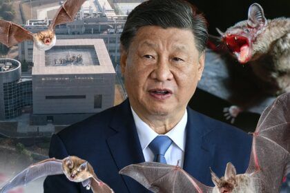 La Cina emette pipistrelli *** teoria su Covid-19, il virus ha avuto origine negli Stati Uniti