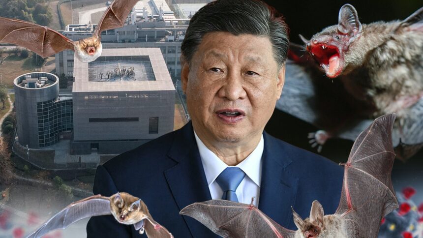 La Cina emette pipistrelli *** teoria su Covid-19, il virus ha avuto origine negli Stati Uniti