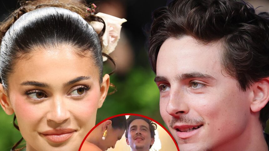 Kylie Jenner usa il rullo di lanugine sul cappotto di Timothée Chalamet in Sweet Snap
