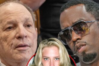 Harvey Weinstein ha citato in giudizio da Diddy Accuser per presunto aggressione sessuale