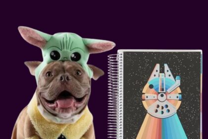 Must-Have Star Wars Home & Pet Essentials per ogni Superfan