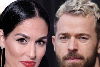 Nikki Bella per pagare Artem Chigvintsev $ 3,500 al mese in assistenza all'infanzia
