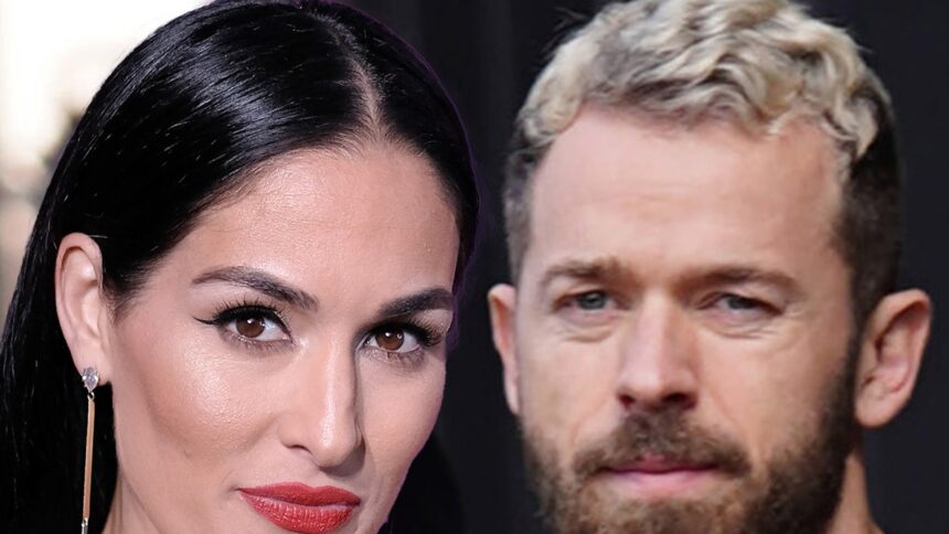 Nikki Bella per pagare Artem Chigvintsev $ 3,500 al mese in assistenza all'infanzia