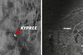 YouTuber Kid Kypree Arrest catturato dalla fotocamera a infrarossi, video di video