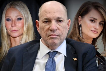 Harvey Weinstein ha guidato il nome Gwyneth Paltrow dopo un presunto assalto, dice Accuser