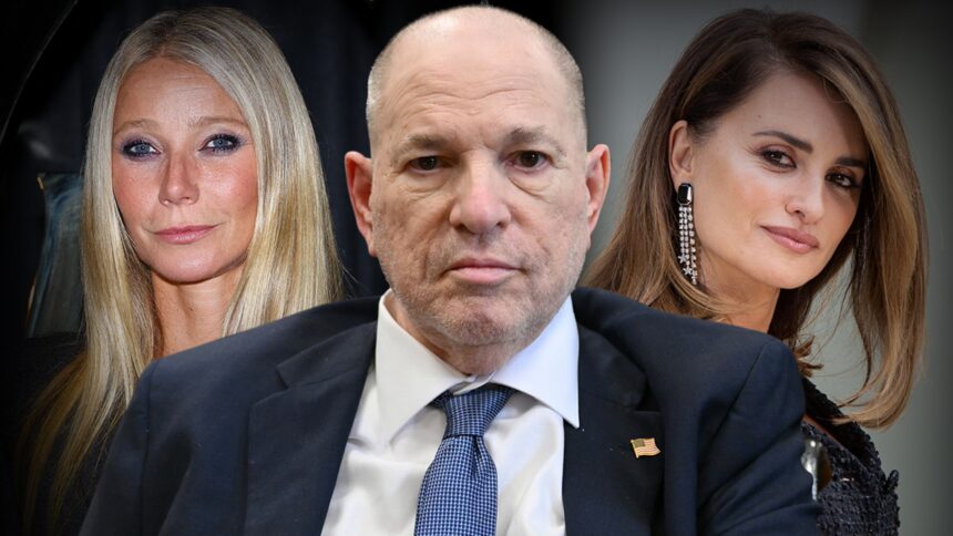 Harvey Weinstein ha guidato il nome Gwyneth Paltrow dopo un presunto assalto, dice Accuser