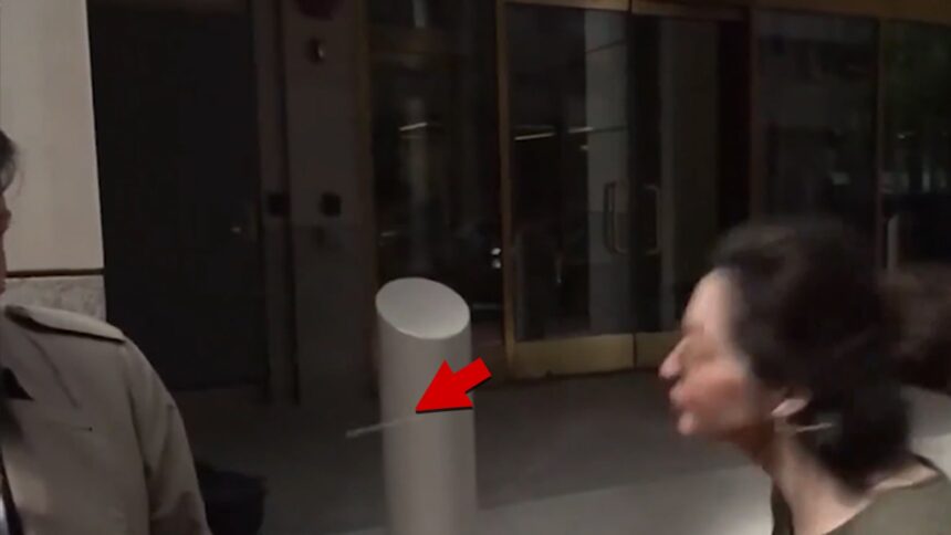 Avvocato di Trump Trump, scegli Ed Martin Spit by Angry Passerby, Video