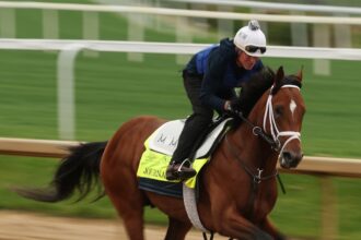 Kentucky Derby 2025: una guida per esperti