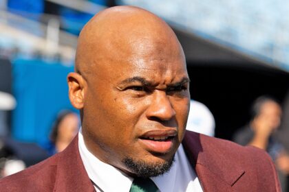 L'ex star del NFL Steve Smith ha fatto causa per aver presumibilmente distrutto il matrimonio con affare