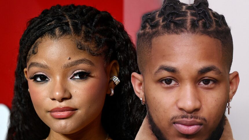 Halle Bailey afferma che DDG l'ha attaccata, ottiene l'ordine restrittivo
