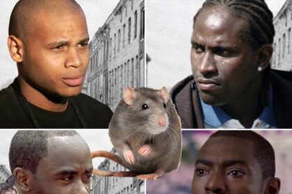 Il cast di "The Wire" di HBO dice che i topi usati per invadere il set, mangiano il cibo