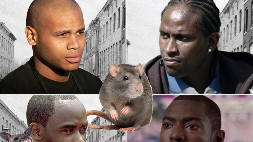 Il cast di "The Wire" di HBO dice che i topi usati per invadere il set, mangiano il cibo
