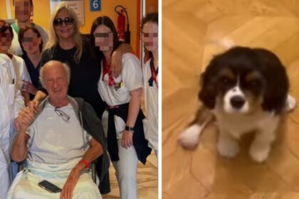 Mara Venier porta a casa il marito dopo la degenza in ospedale: ad attenderlo una sorpresa che gli cambierà la vita, guarda - Gossip.it