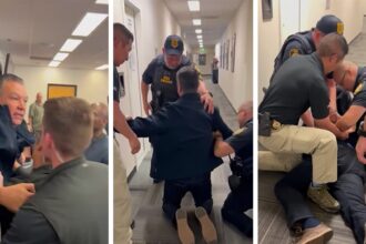 Il senatore espulso fisicamente, detenuto alla conferenza stampa di Los Angeles del segretario di DHS, sulla telecamera
