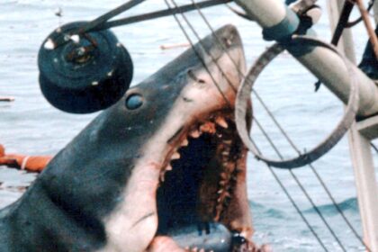 Jaws Secrets per il 50 ° anniversario