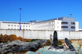 La Florida AG offre "Alligator Alcatraz" in Everglades per contenere immigrati