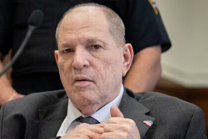 Harvey Weinstein si è dichiarato colpevole con l'accusa di reinserimento di crimini sessuali