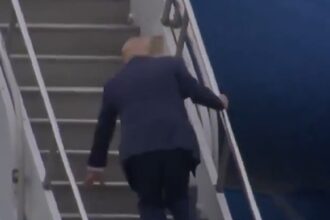 Donald Trump fa scattare i gradini dell'Aeronautica One