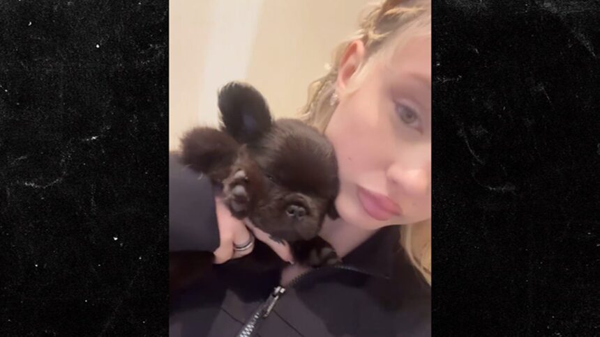 Alabama Barker condivide il video del nuovo cucciolo di bulldog francese