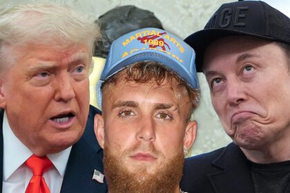 Jake Paul parla contro Donald Trump ed Elon Musk Social Media Feud